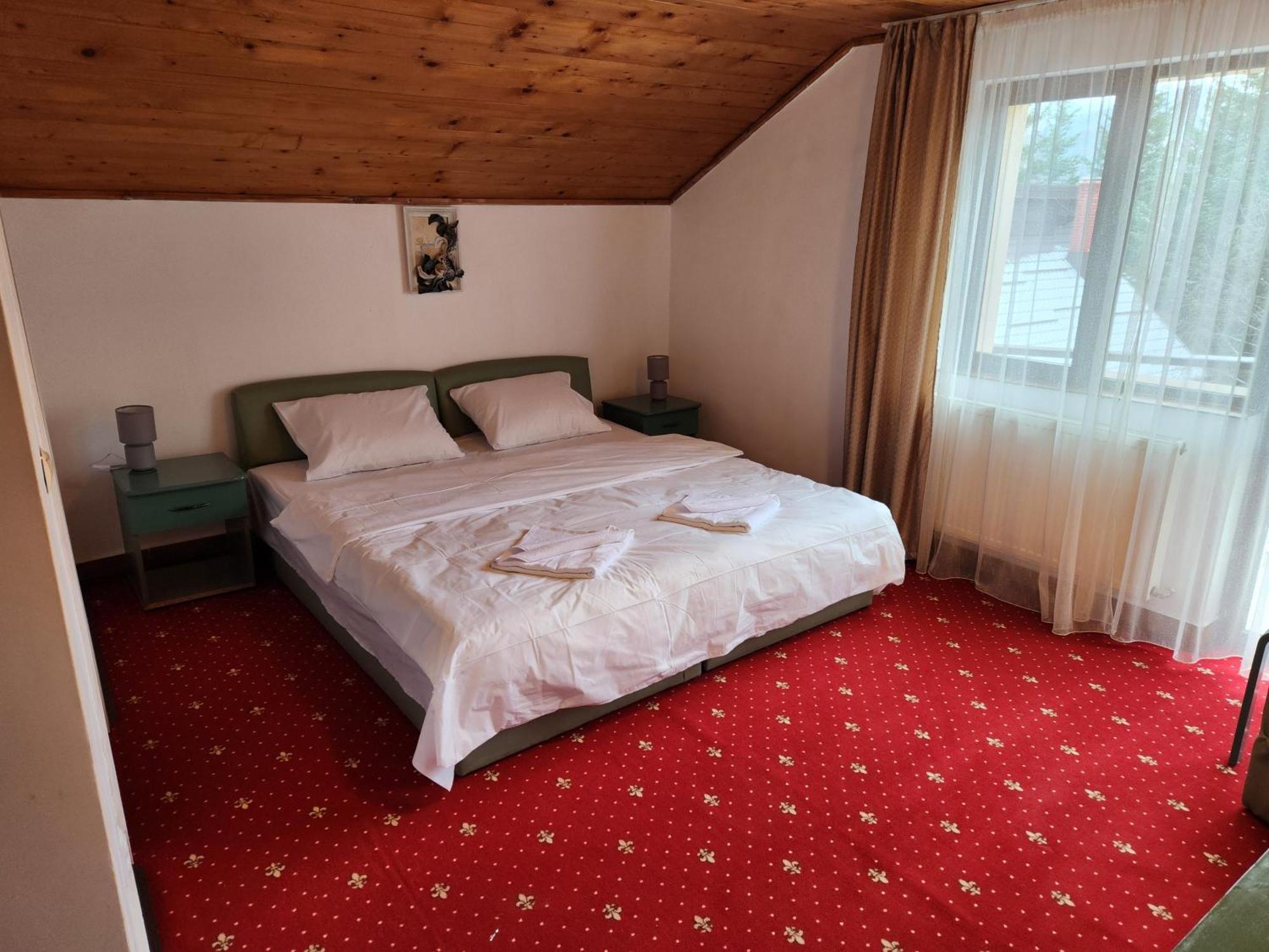 Holiday Houses Sinaia Kültér fotó